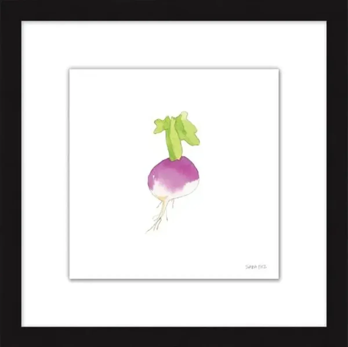 Sara Fitz - Turnip 2