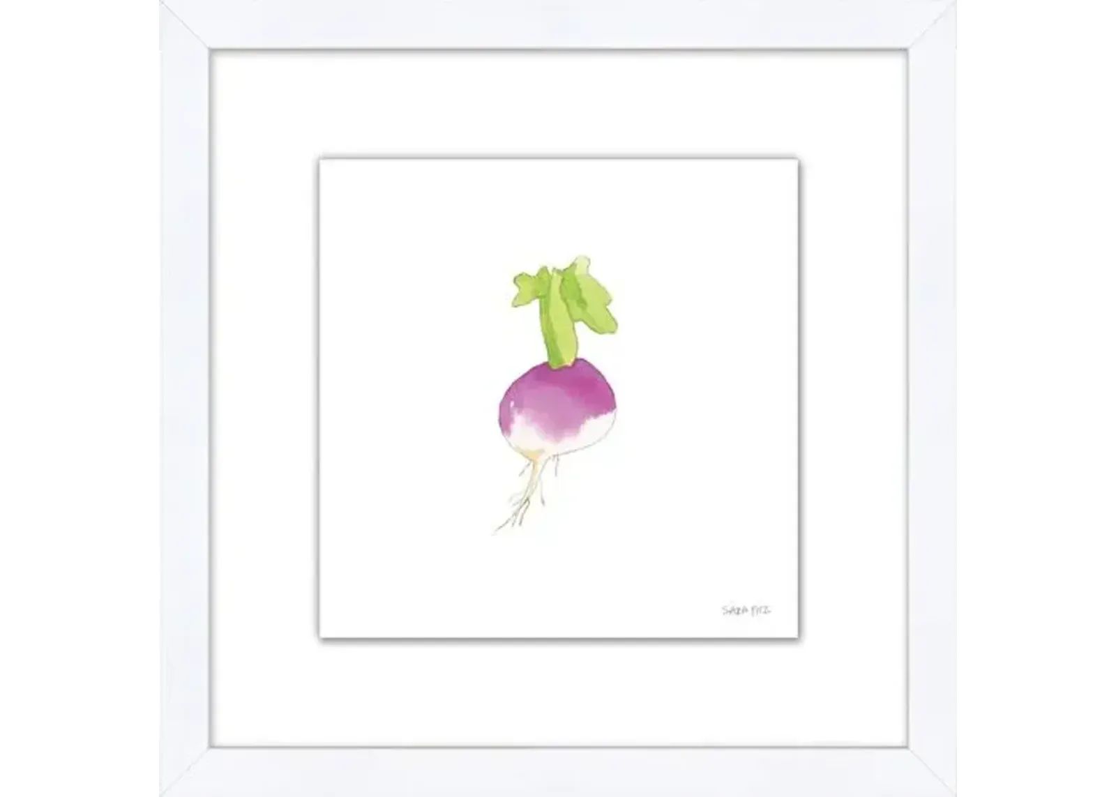 Sara Fitz - Turnip 2