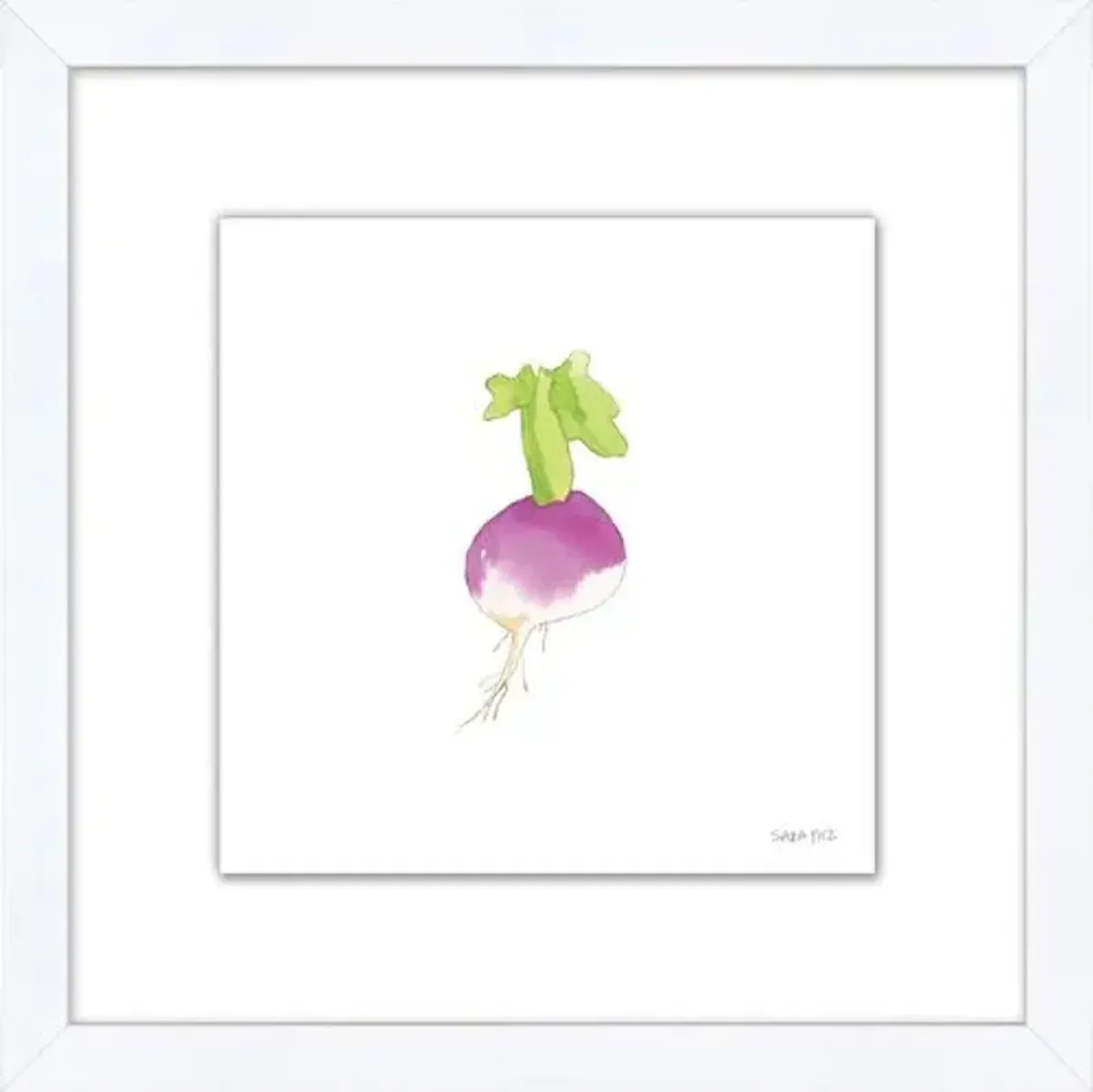 Sara Fitz - Turnip 2