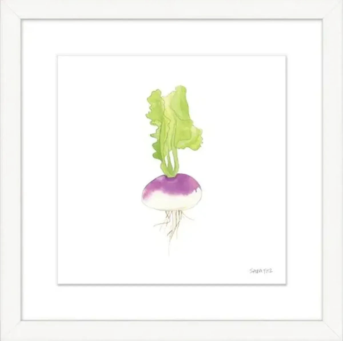 Sara Fitz - Turnip 1