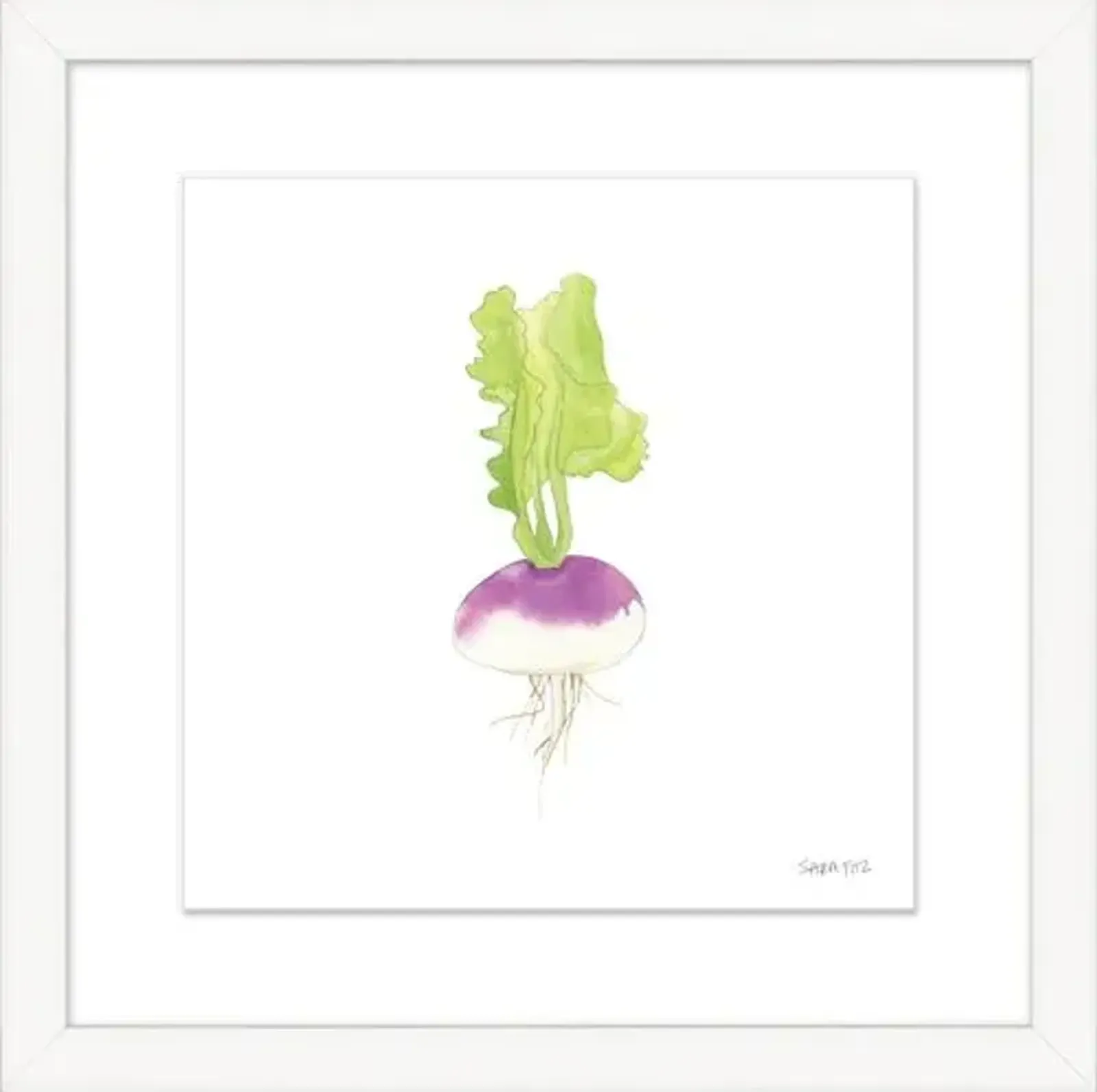 Sara Fitz - Turnip 1