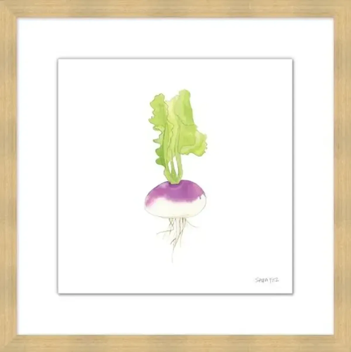 Sara Fitz - Turnip 1