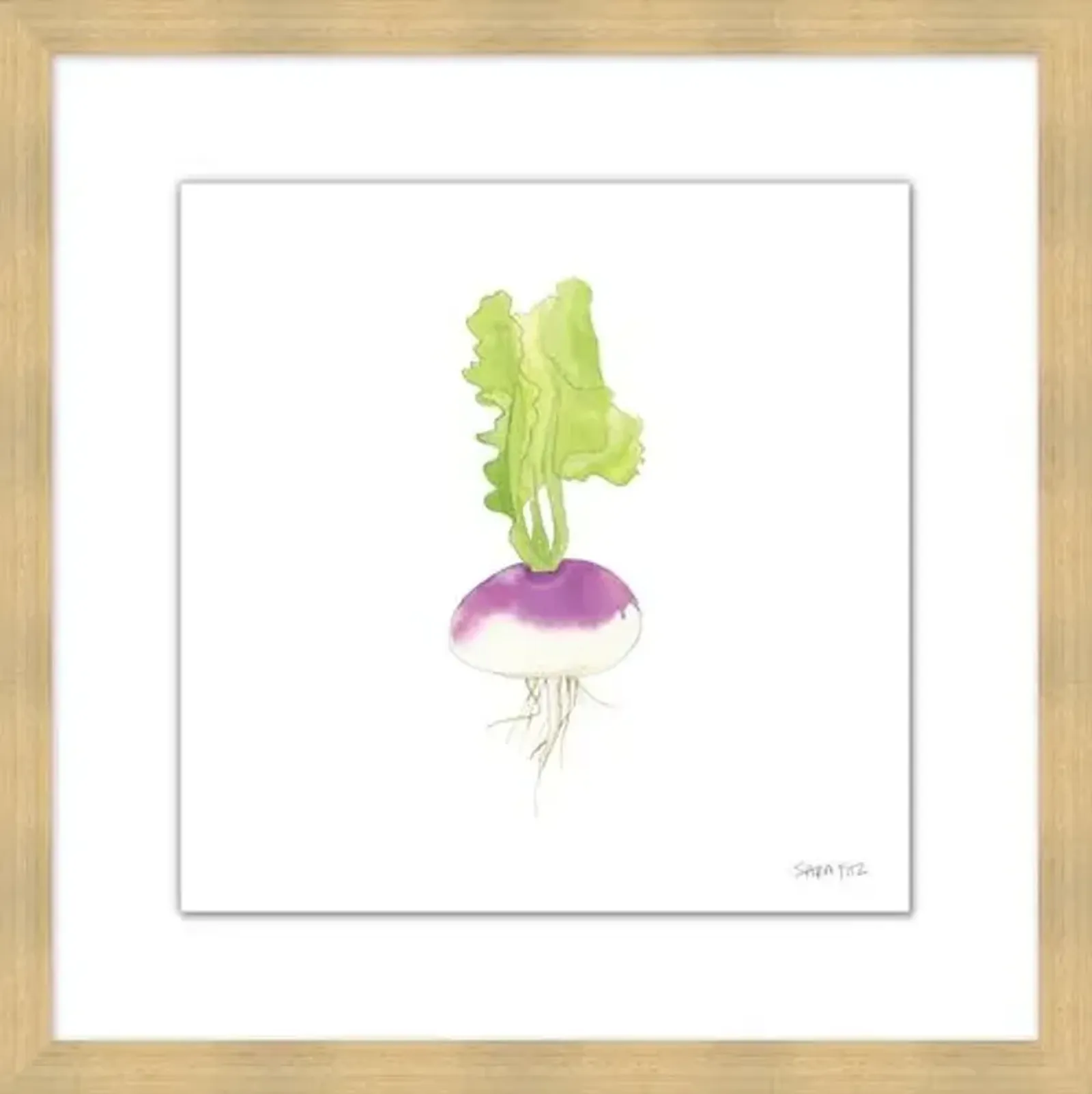 Sara Fitz - Turnip 1