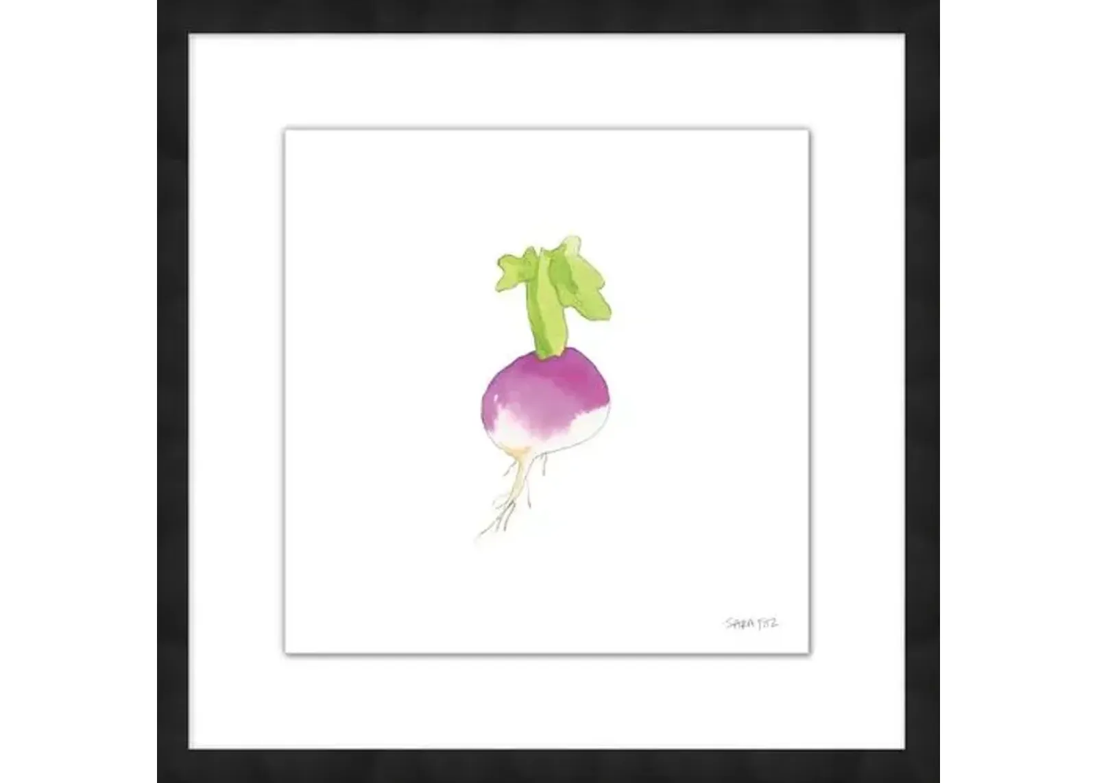 Sara Fitz - Turnip 2