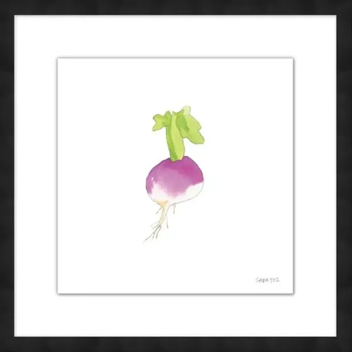 Sara Fitz - Turnip 2