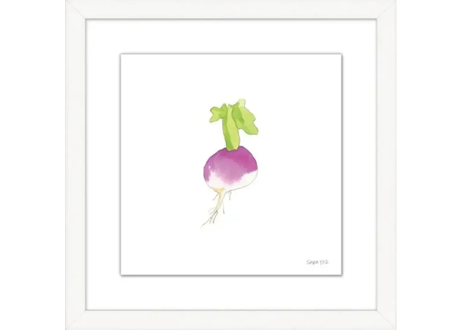 Sara Fitz - Turnip 2