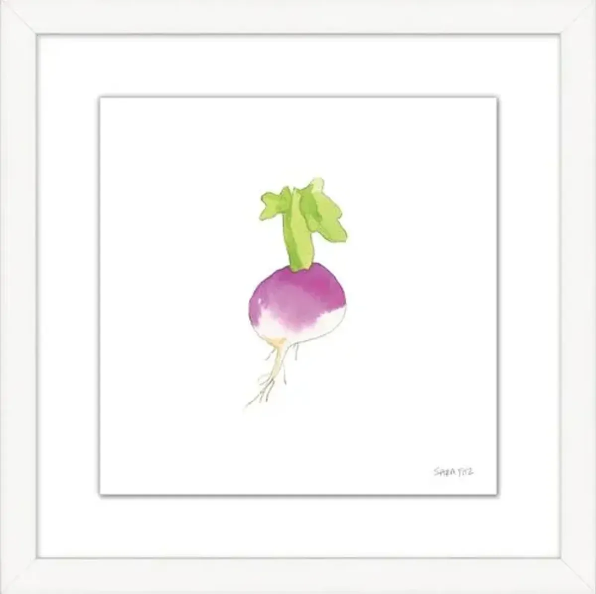 Sara Fitz - Turnip 2