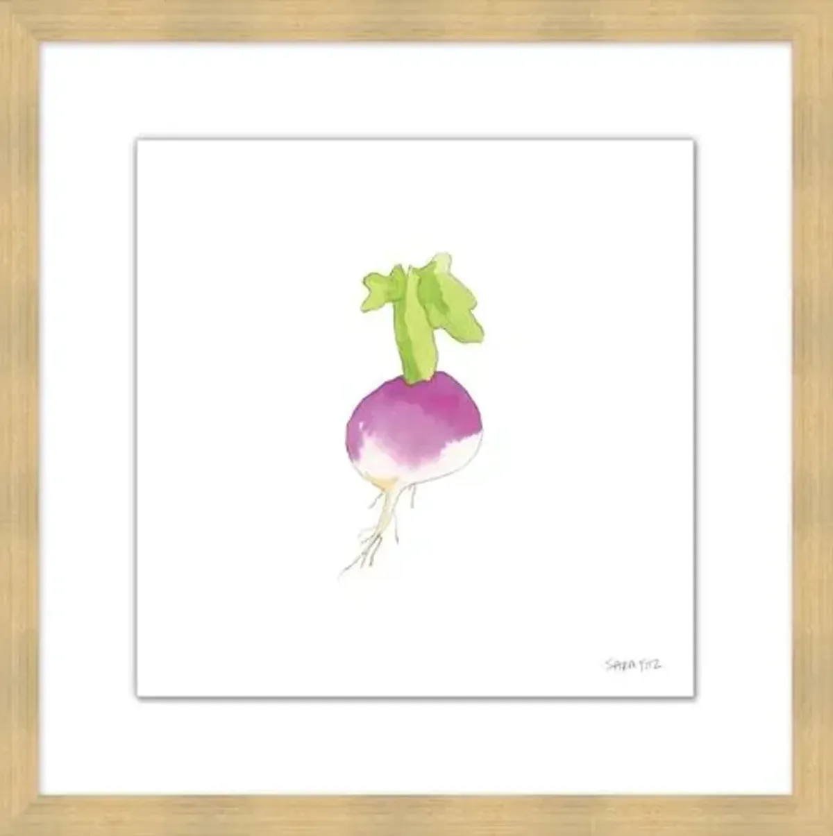 Sara Fitz - Turnip 2