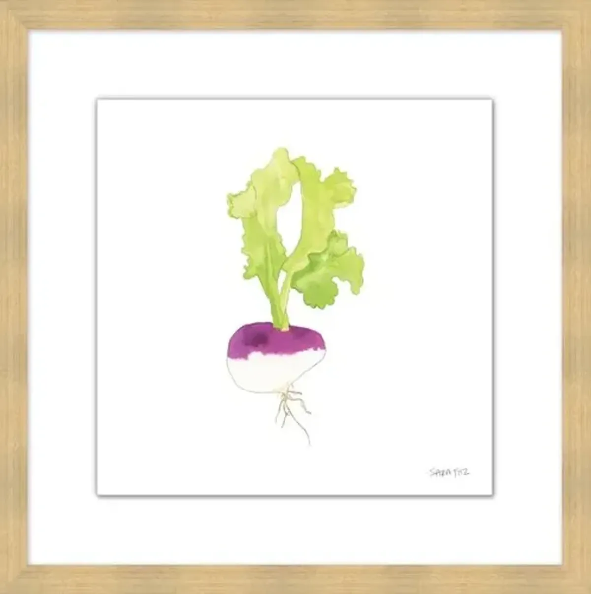 Sara Fitz - Turnip 3