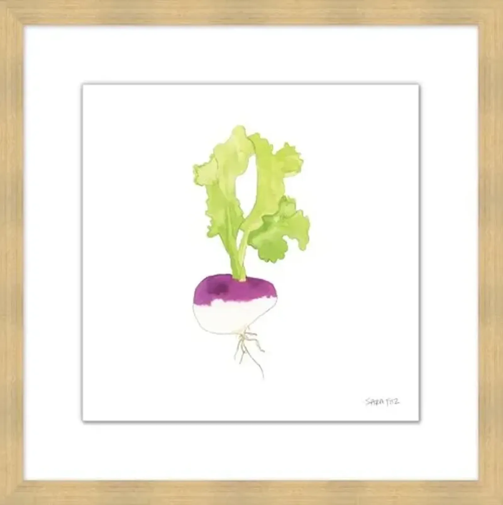 Sara Fitz - Turnip 3