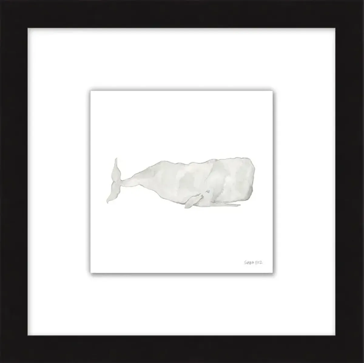 Sara Fitz, Gray Whale