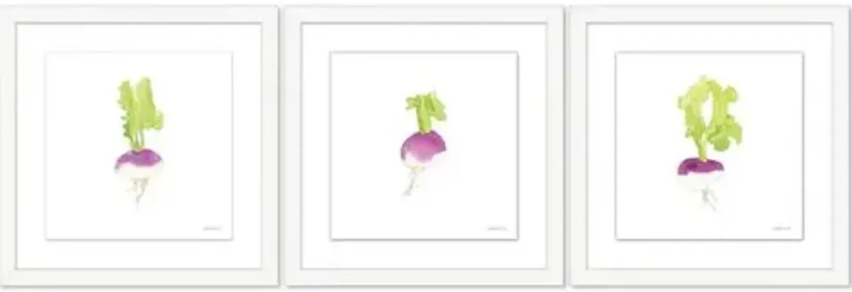 Sara Fitz - Turnip Set