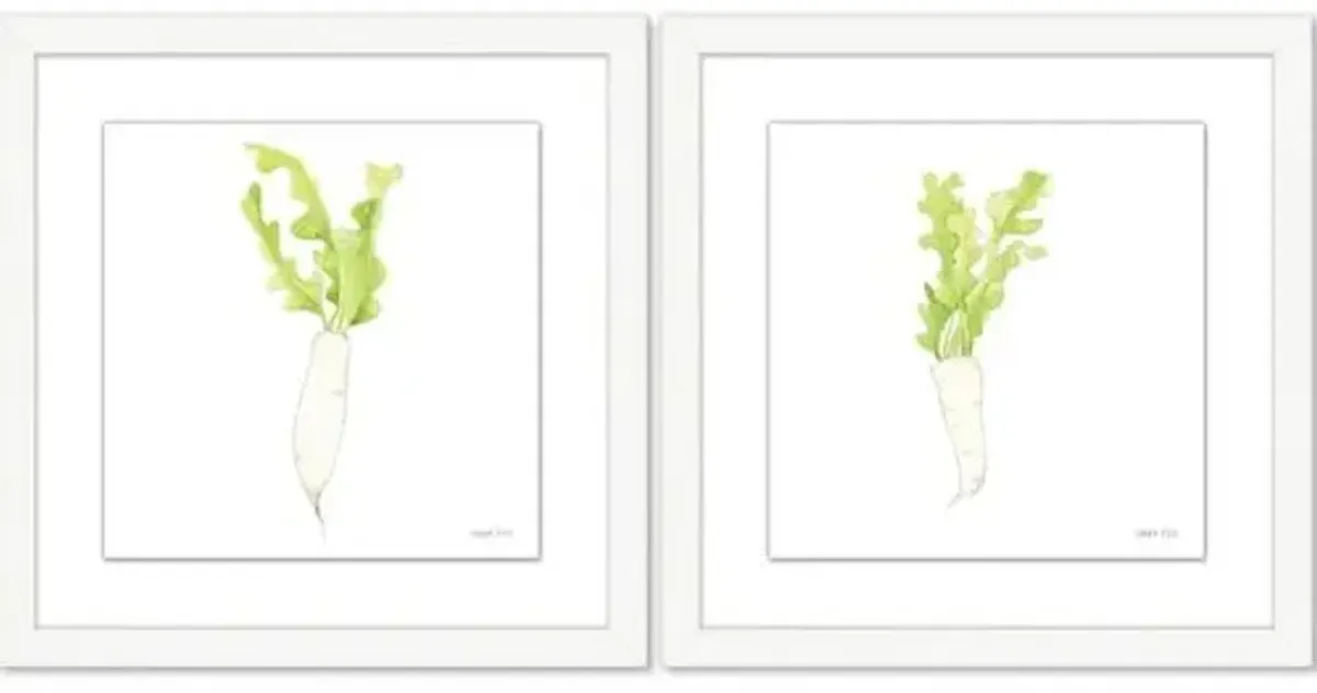 Sara Fitz - Daikon Set