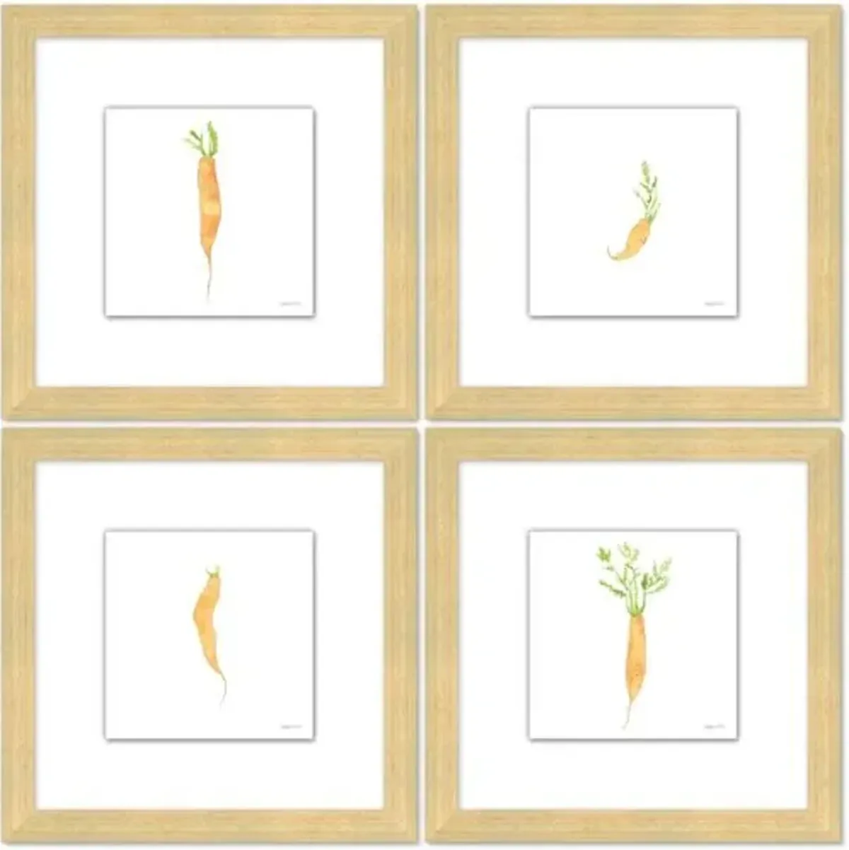 Sara Fitz - Carrot Set