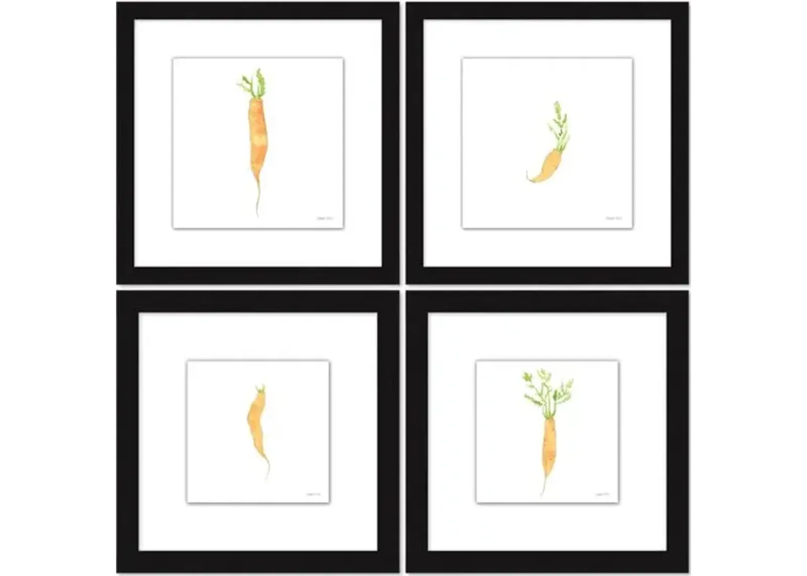 Sara Fitz - Carrot Set