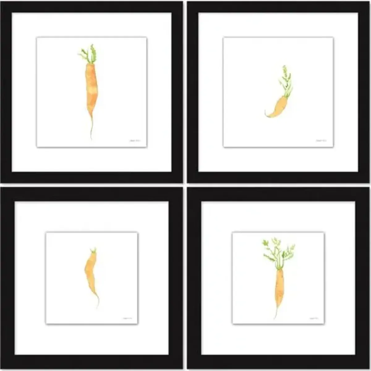 Sara Fitz - Carrot Set