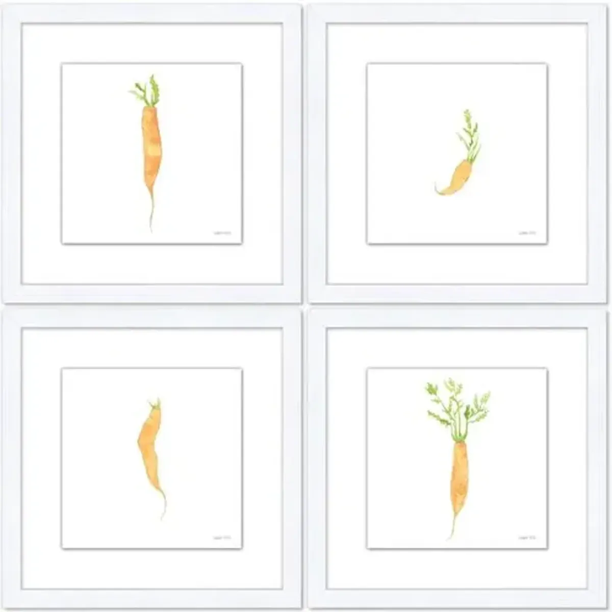 Sara Fitz - Carrot Set