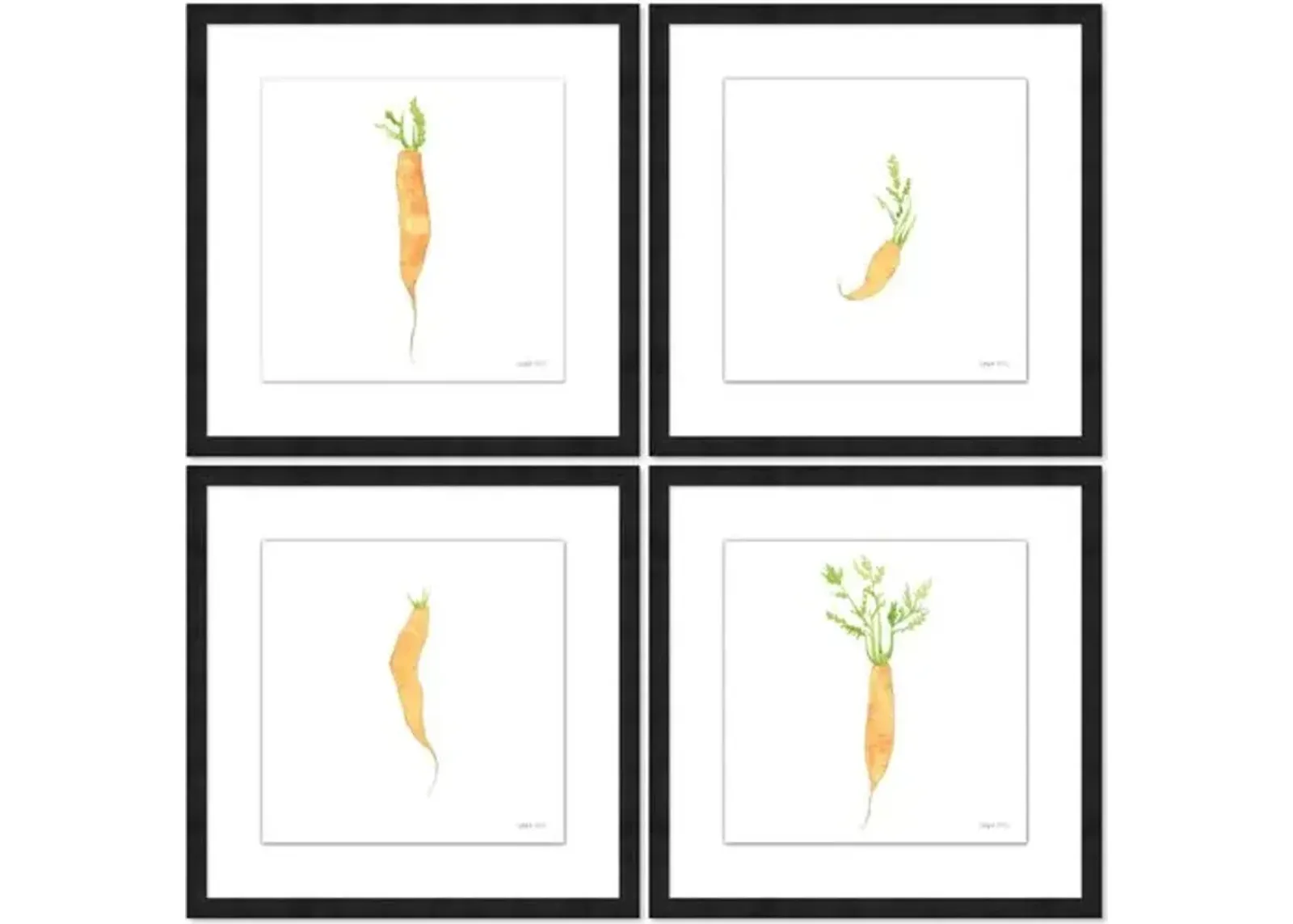 Sara Fitz - Carrot Set