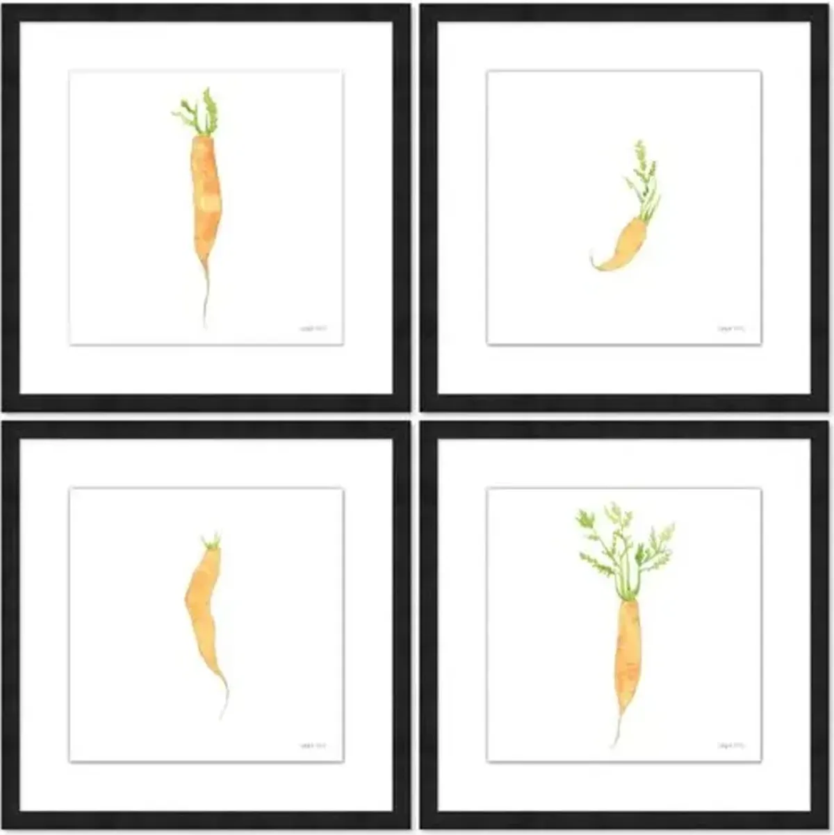 Sara Fitz - Carrot Set