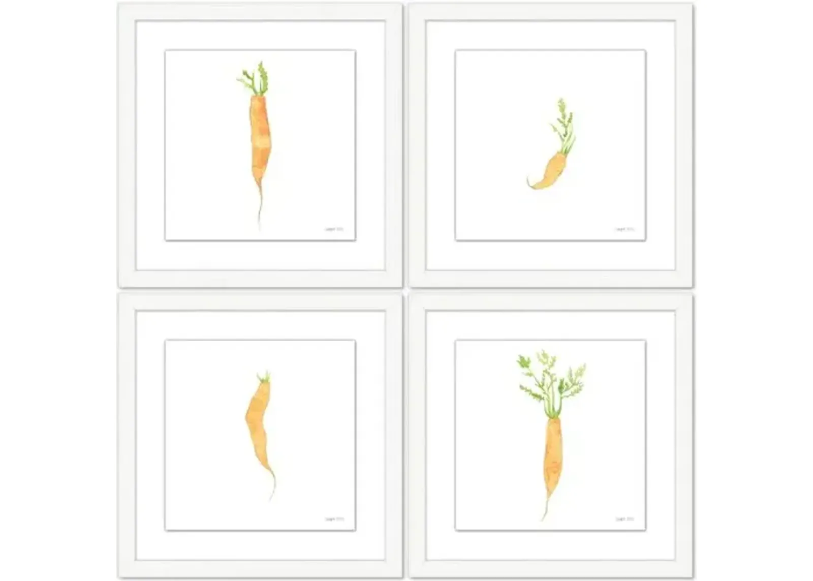 Sara Fitz - Carrot Set