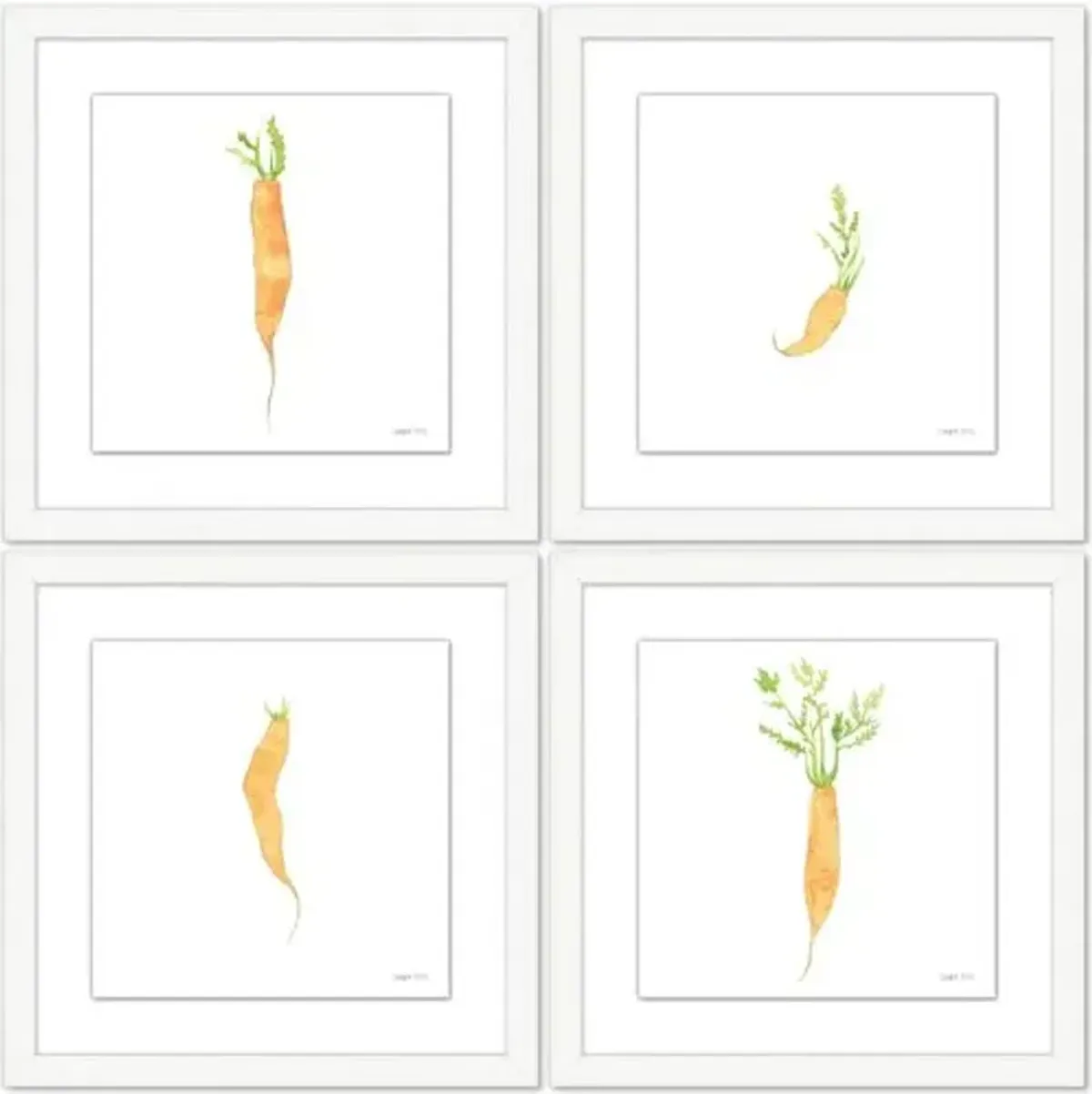 Sara Fitz - Carrot Set