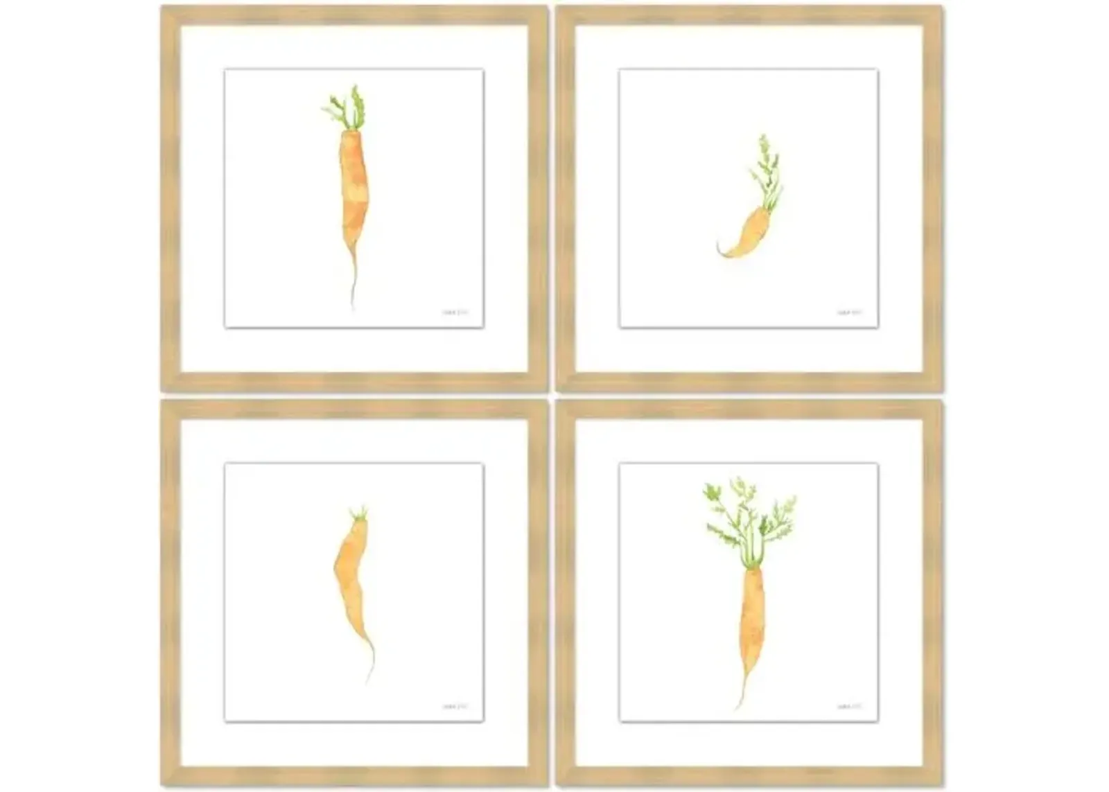 Sara Fitz - Carrot Set