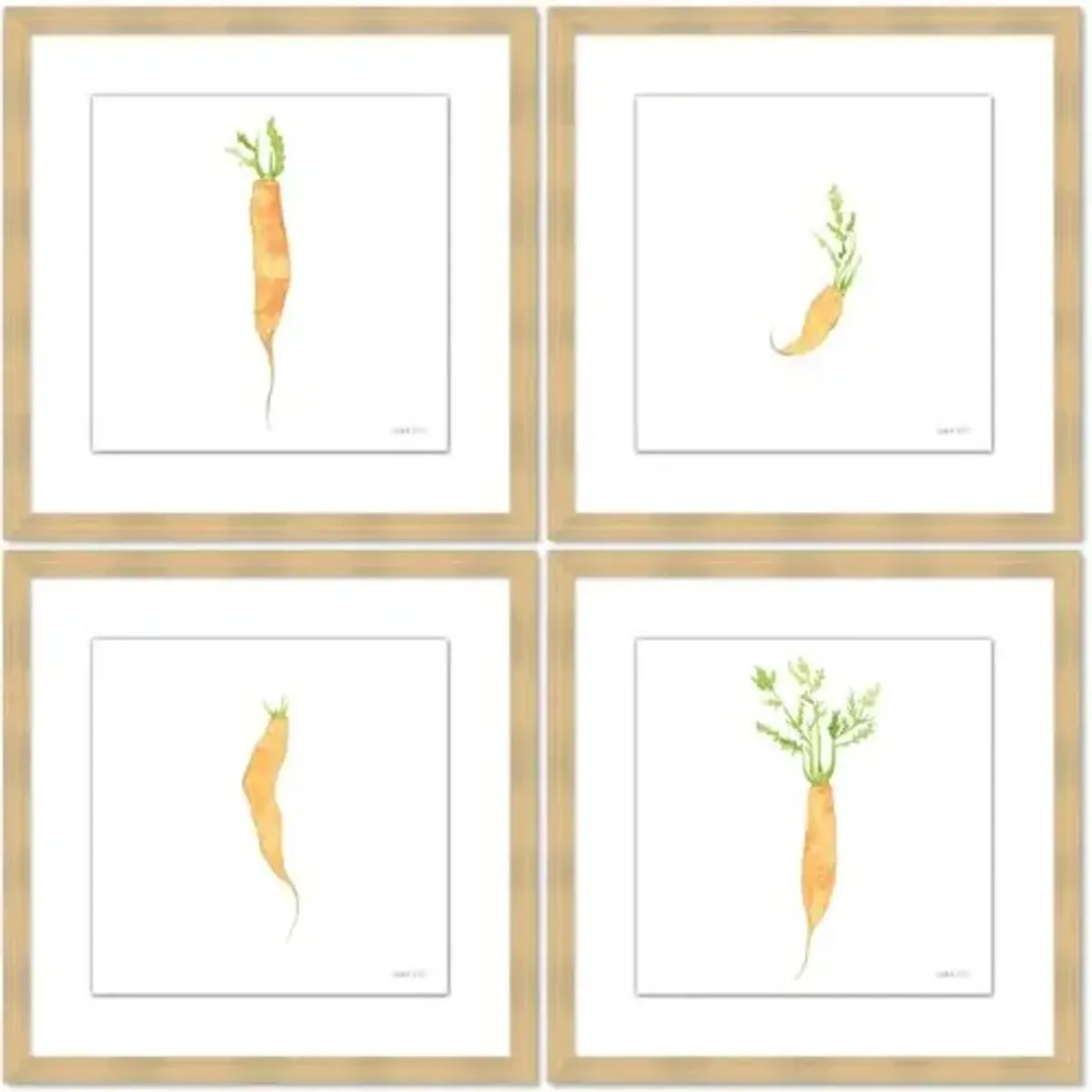 Sara Fitz - Carrot Set