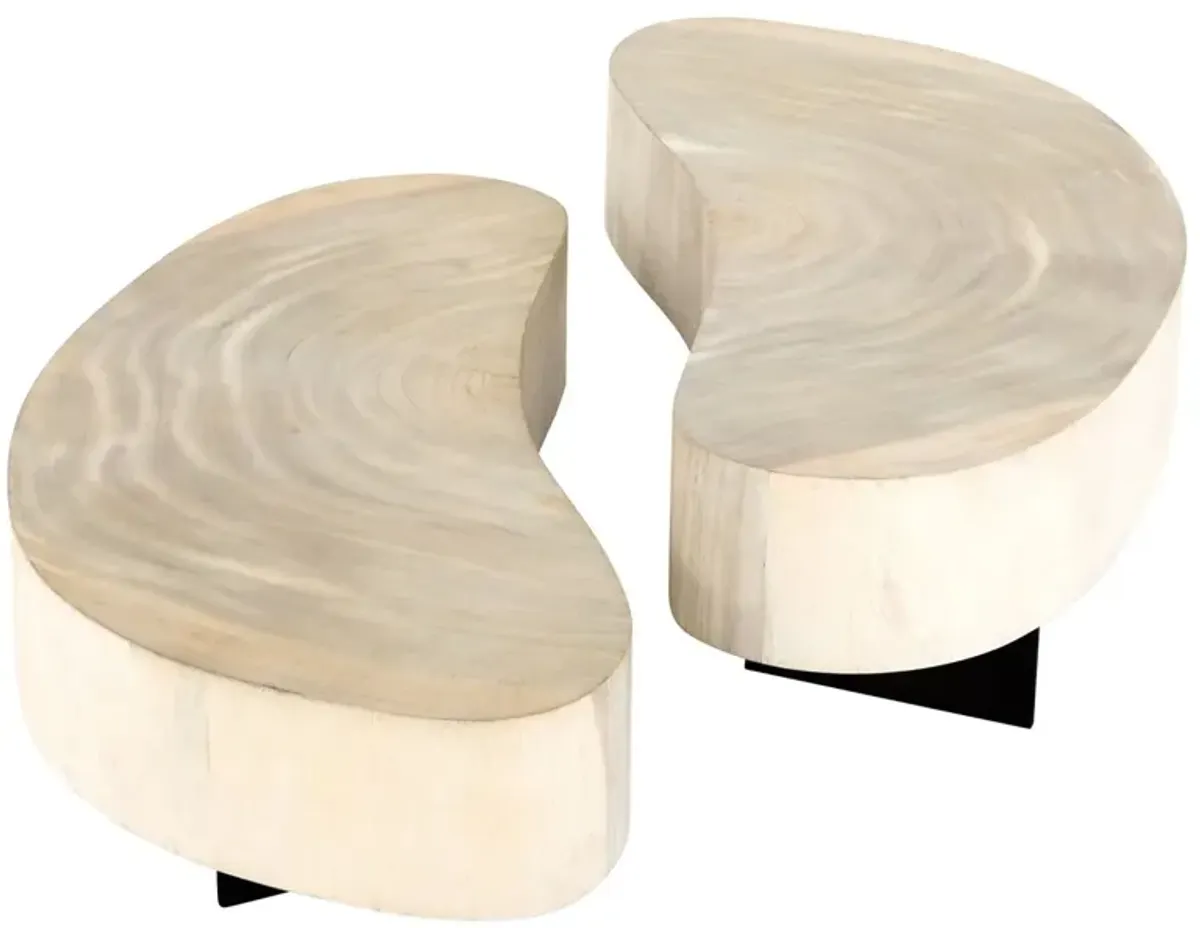 Franco 2-Pc Coffee Table, Oyster Guanacaste