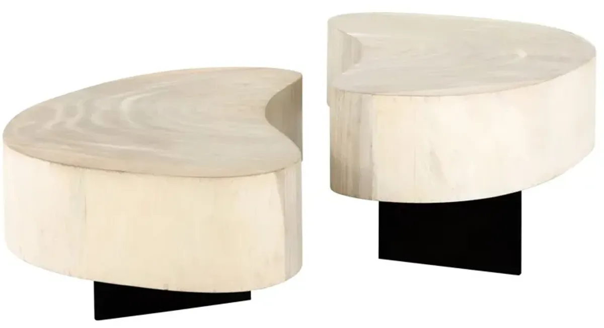 Franco 2-Pc Coffee Table, Oyster Guanacaste