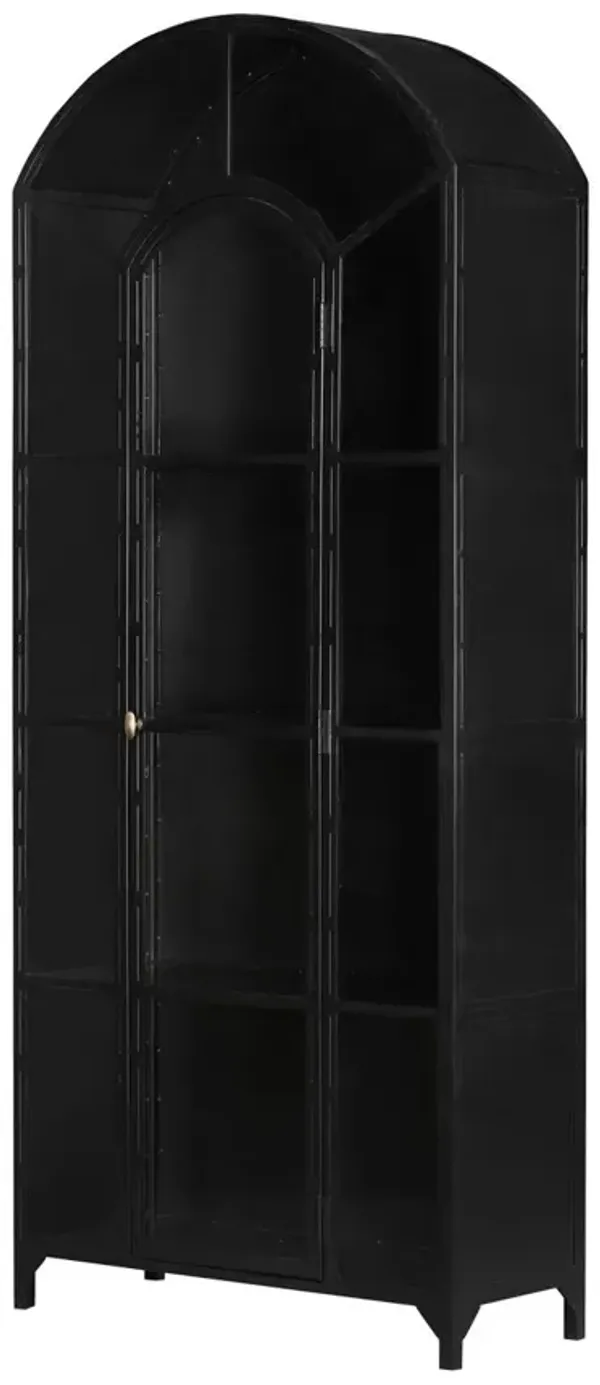 Coraline Metal Cabinet, Black