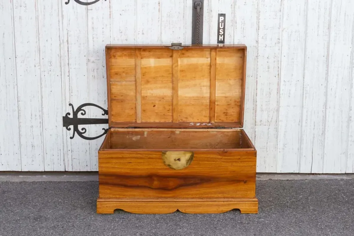 Campaign Style Asian Cedar Chest - de-cor - Brown