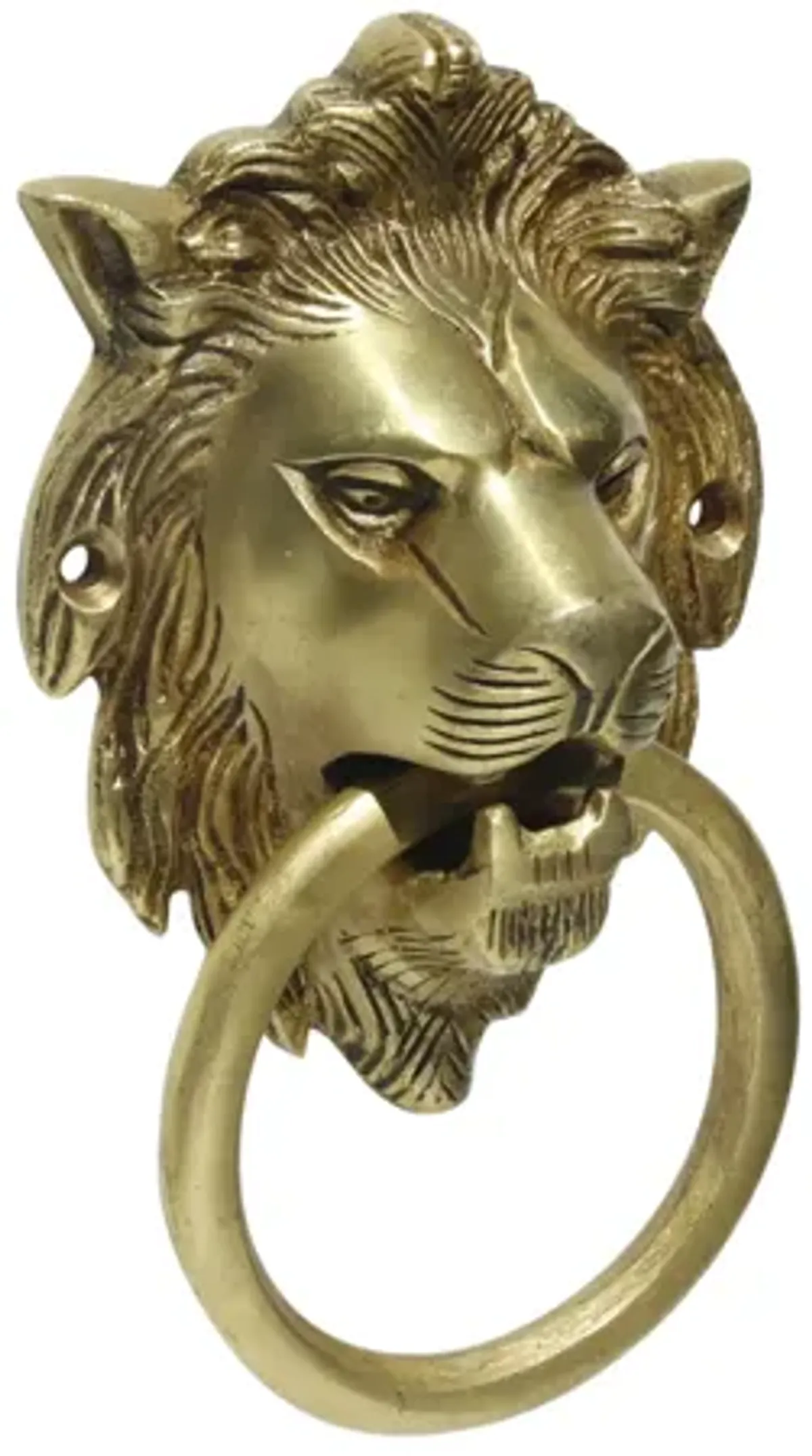 Brass Lion's Head Door Knocker - Interesting Things - Gold