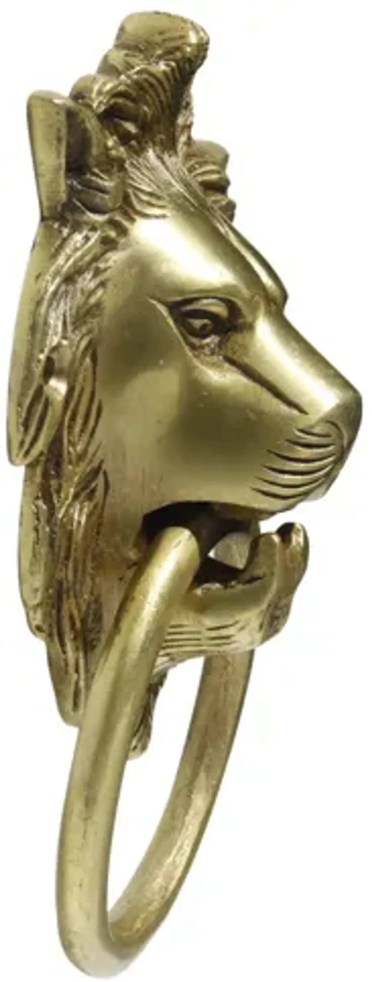 Brass Lion's Head Door Knocker - Interesting Things - Gold