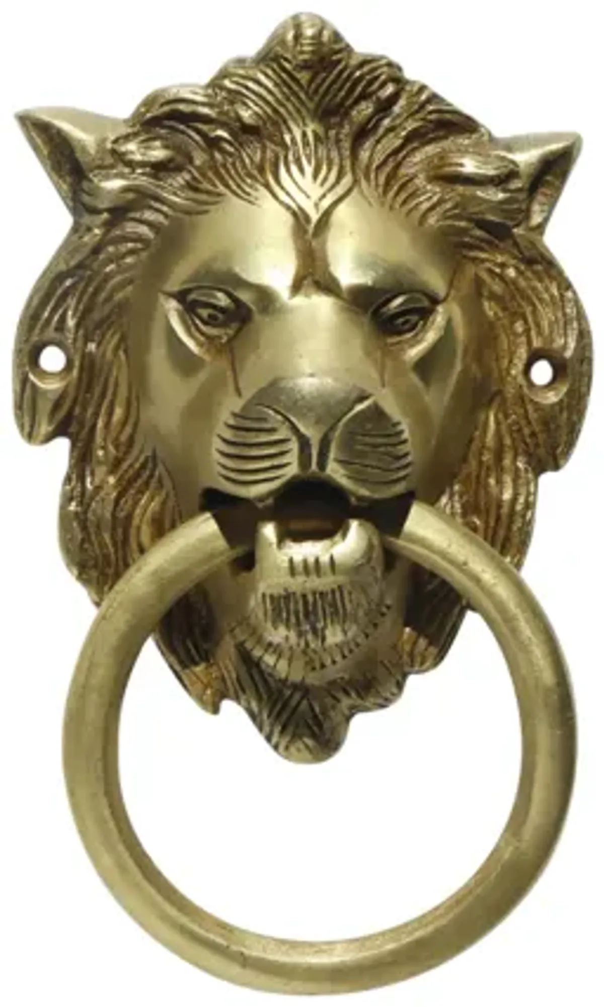 Brass Lion's Head Door Knocker - Interesting Things - Gold