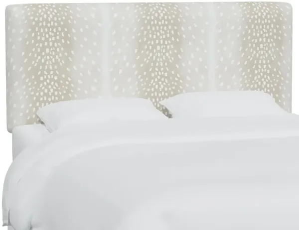 Novak Headboard, Fawn Stripe