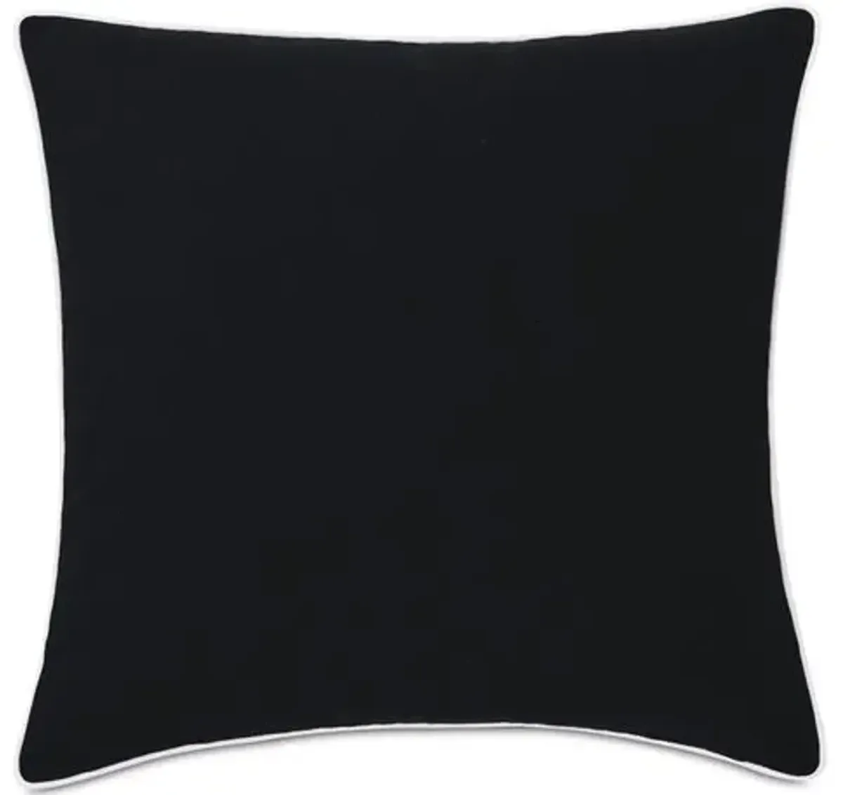 Riley 20x20 Outdoor Pillow - Black