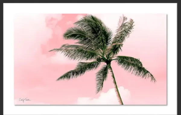 Carly Tabak, Electric Pink Palm Photograph