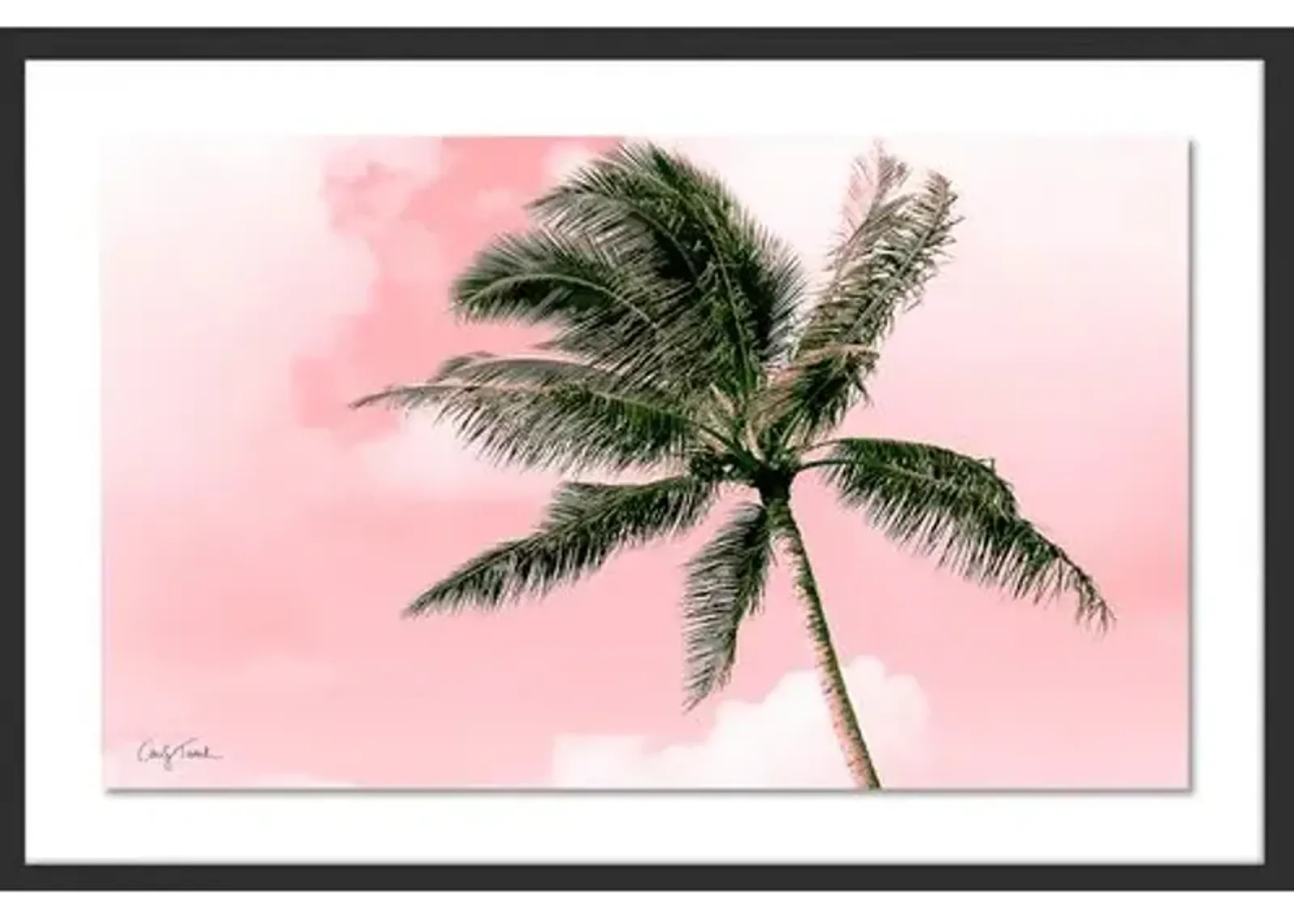 Carly Tabak - Electric Pink Palm