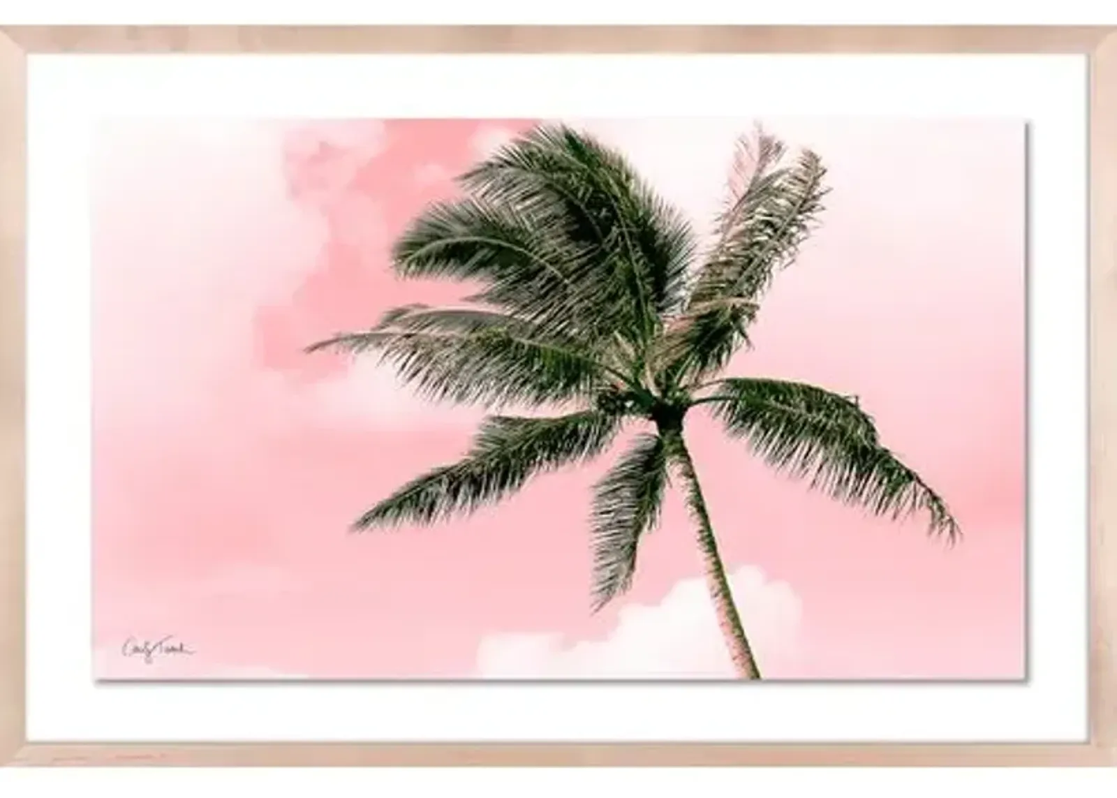 Carly Tabak - Electric Pink Palm