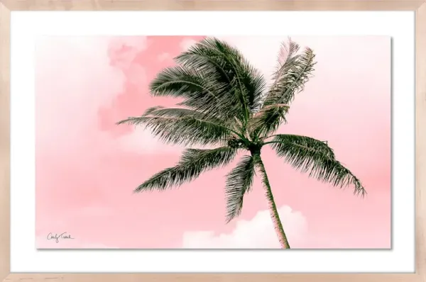 Carly Tabak, Electric Pink Palm Photograph