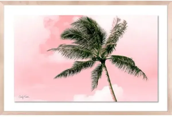Carly Tabak - Electric Pink Palm Photograph
