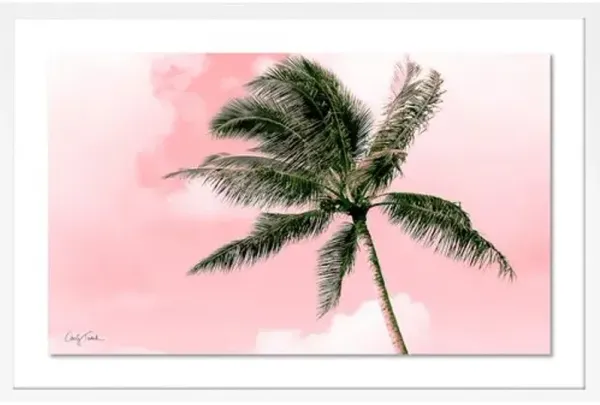 Carly Tabak - Electric Pink Palm Photograph