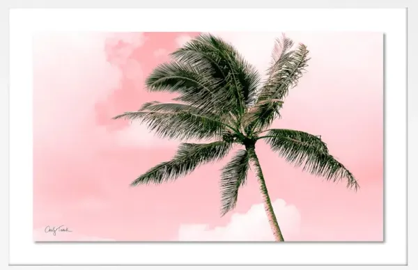Carly Tabak, Electric Pink Palm Photograph