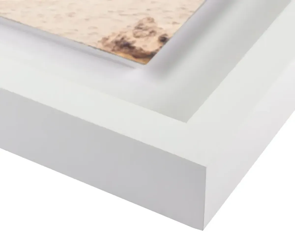 Carly Tabak, Lovers Cove Photograph