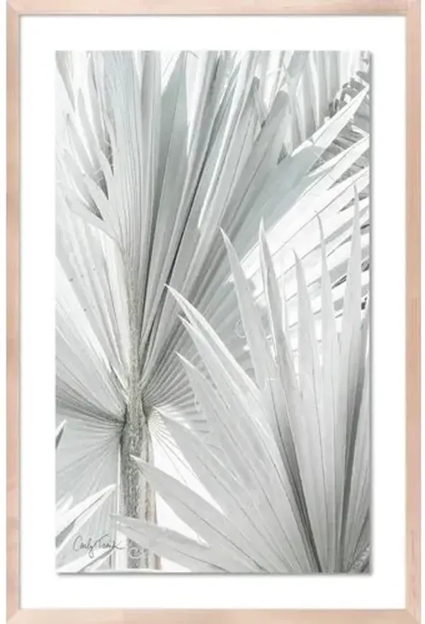 Carly Tabak - Mint Palms Photograph