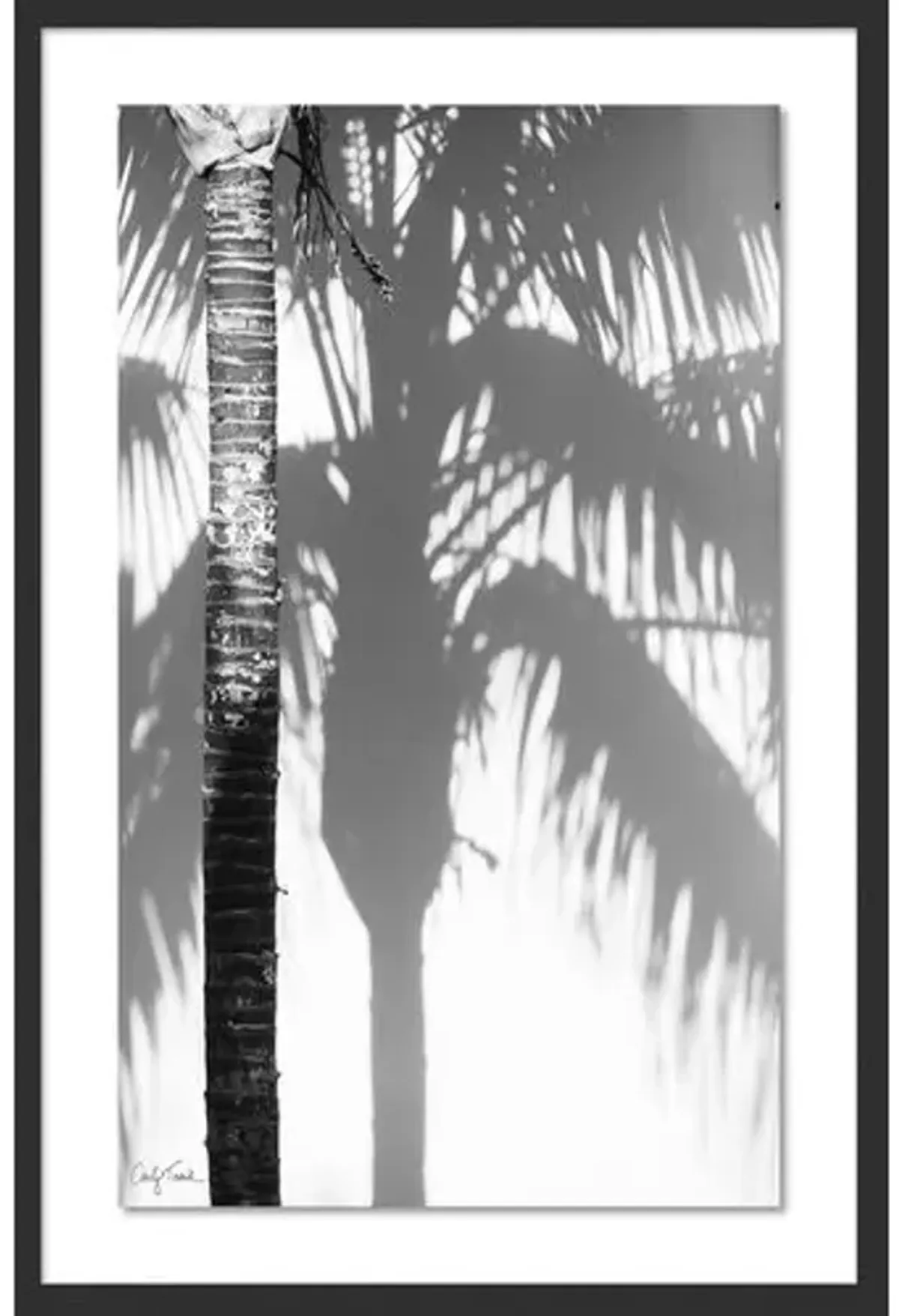 Carly Tabak - Shadow Photograph