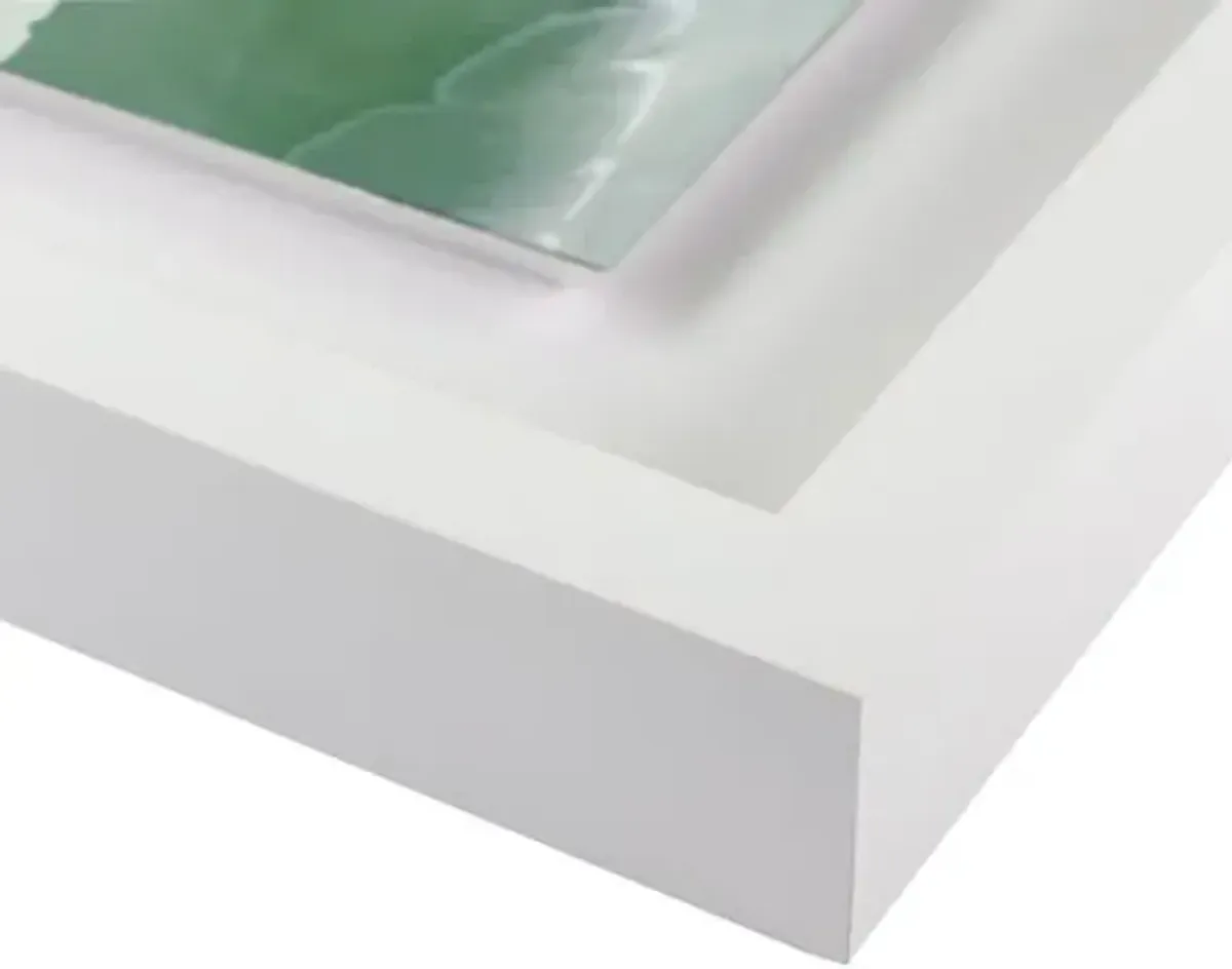 Carly Tabak - Succulent Photograph