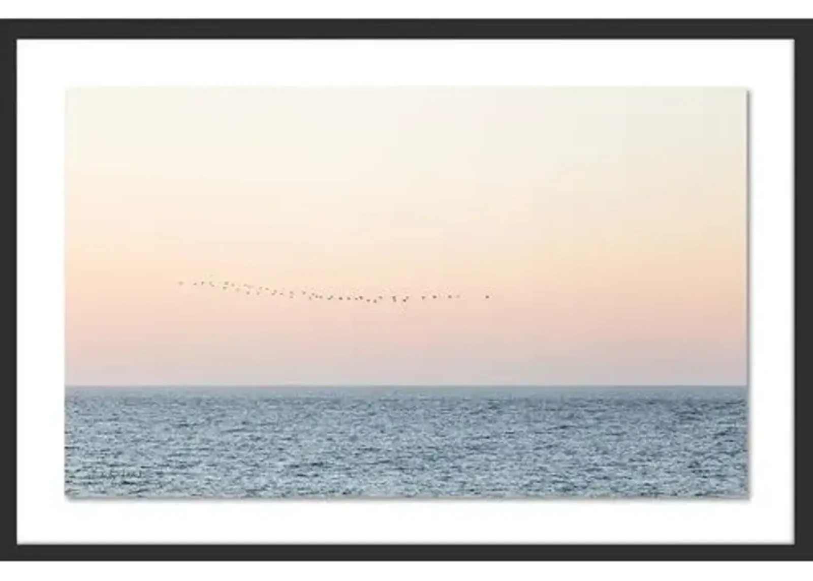 Carly Tabak - Sunset Flock