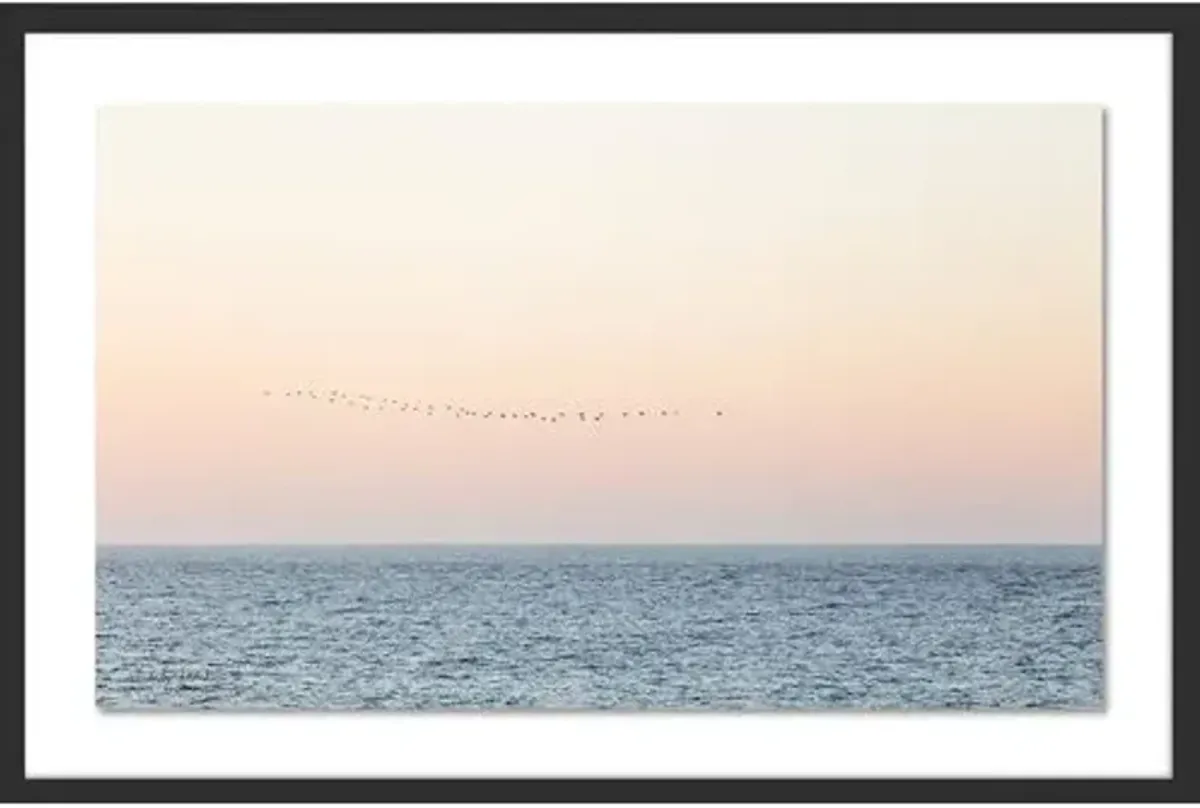 Carly Tabak - Sunset Flock Photograph