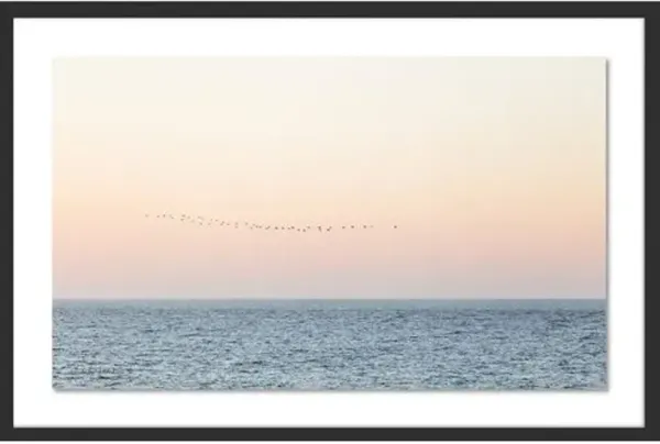 Carly Tabak - Sunset Flock Photograph